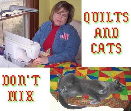 cats_and_quilts (26K)